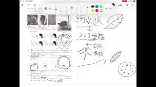 H30第一回共通テスト理科