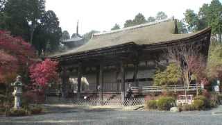 滋賀県　湖南三山　常楽寺の紅葉1　本堂