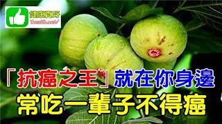 【抗癌之王】就在你身邊！一斤才 4 塊錢，常吃一輩子不得癌哦！