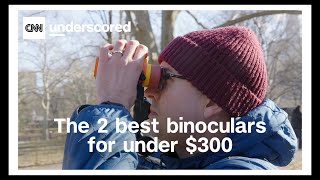 The 2 best binoculars for watching birds, baseball or just about anything