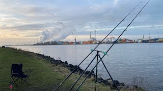 Vissen in het kanaal IJmuiden صيدالسمك في اكبر قناة بهولندا