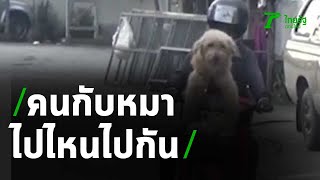 ส่องความน่ารักของคนกับหมา ไปไหนไปกัน | 06-10-63 | ห้องข่าวหัวเขียว