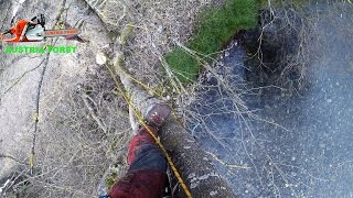 Tree Climbing and felling at a High voltage cable