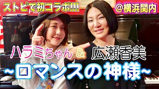 【広瀬香美＆ハラミちゃん】ロマンスの神様 即興ライブ＠横浜関内【ストリートピアノ】