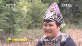 20150527 生财有道  2015农家乐（第二季）——壮乡风情农家乐