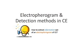 Capillary Electrophoresis (Part 4): Electropherogram & Migration Time
