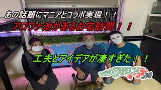 あの話題のマニアとコラボ実現！アロワナ池のあるお宅訪問！！工夫とアイデアが凄すぎた！！