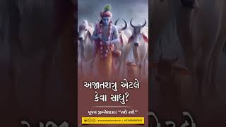 અજાતશત્રુ એટલે કેવા સાધુ ?