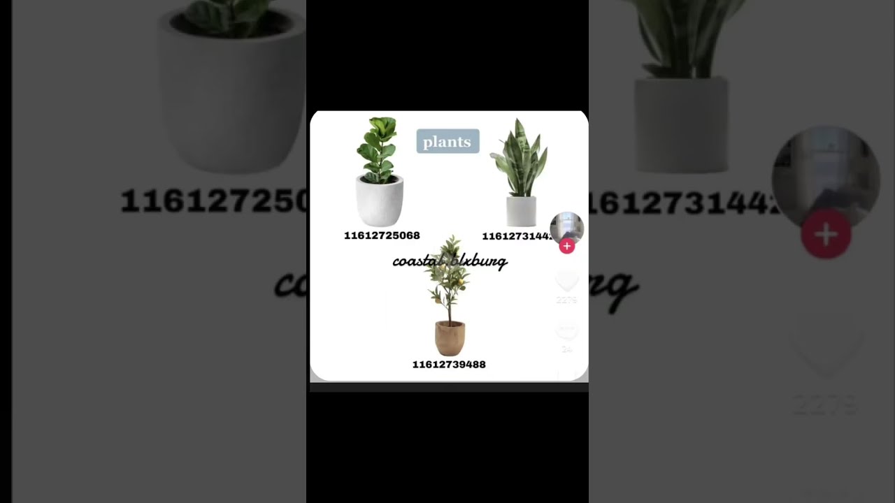 Bloxburg Potted Plant Decal Codes, Off Pinterest | PART 2 NOW AVAILABLE ...