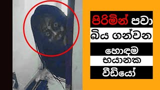 Top 5 Scary Videos That'll Even Scare Tough Guys  | පිරිමින් පවා බිය ගන්වන හොඳම භයානක වීඩියෝ 5