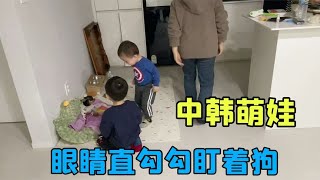 跟韓國婆婆去表姐家，金老二看見小狗走不動路，一家人其樂融融