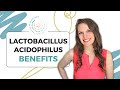 Lactobacillus Acidophilus Benefits