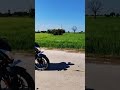 NS 160 wheelie 😮🔥⚡#ns160 #stunt #wheelie #ns125 #vlogger #ns200 #youtubeshorts #viral