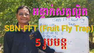 ការផលិតអន្ទាក់សត្វល្អិត SBN-FFT |Soy Bona|