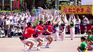 :酔狂連  はな・はるフェスタ2018 春らんまん阿波おどり 藍場浜エントランスステージ