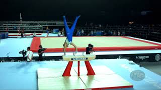 BERTONCELJ Saso (SLO) - 2017 Artistic Worlds, Montréal (CAN) - Qualifications Pommel Horse