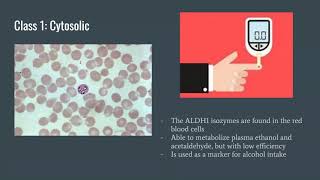 W21 Group #5 Aldehyde Dehydrogenase Enzymes