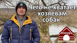 Какого качества не хватает хозяевам собак