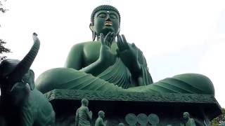 名古屋大仏　桃厳寺　Japanese Nagoya Daibutsu  a huge statue of the Buddha