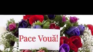 Pace voua