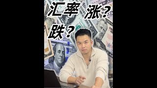 如何应对汇率波动：人民币升值与外币贬值的影响