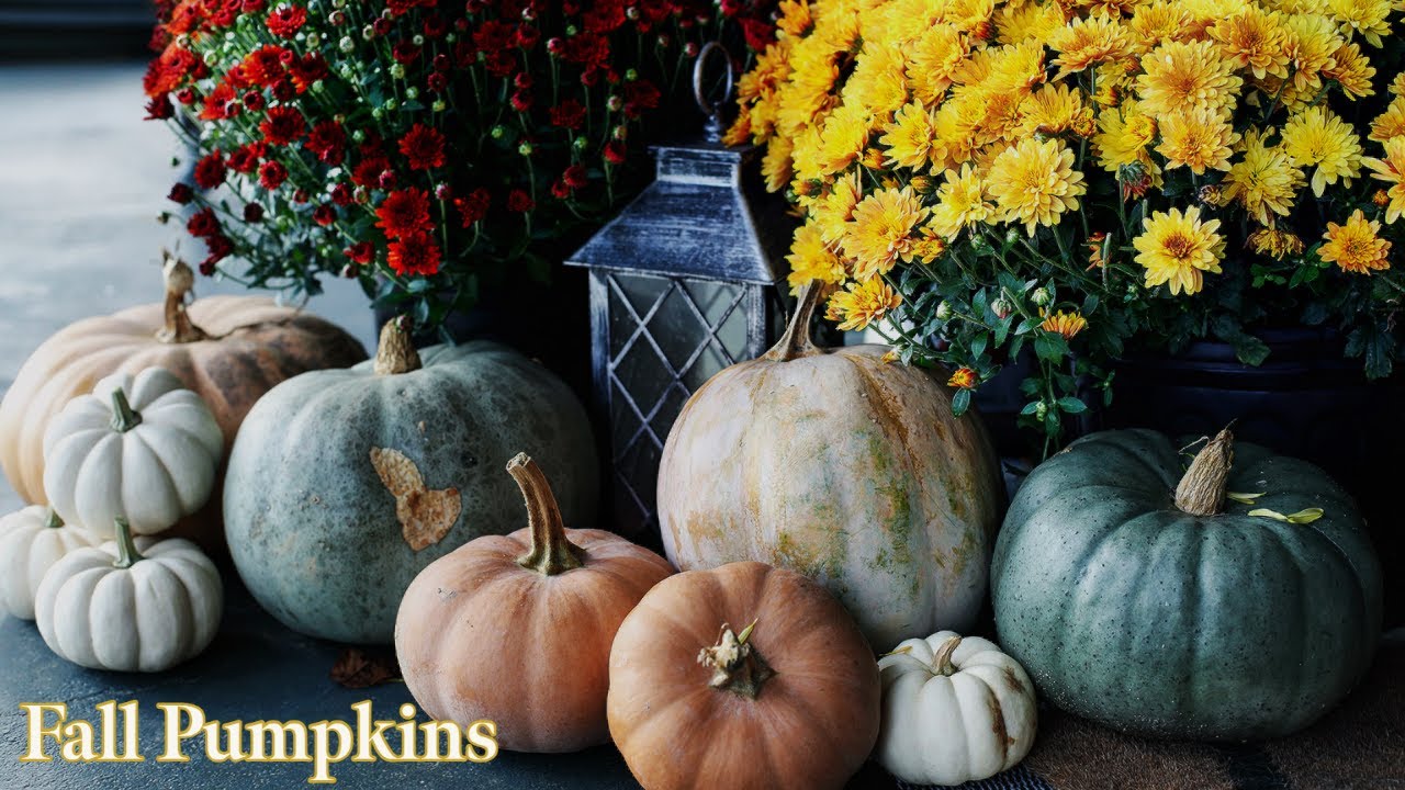 Fall Pumpkins Youtube