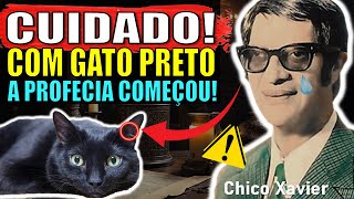 CHOCANTE: O Que Chico Xavier Previu Para quem Tem GATO EM CASA Já Começou! I Revela Profecias