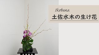 【秋の生け花 土佐水木】 初心者でもコツが分かればとても簡単！ 生け方の基本～アレンジまでサクッと紹介。 ikebana style class Japanese flower arrangement