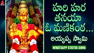 Ayyappa Swamy Devotional Songs | Hari Hara Thanaya O Manikanta Whatsapp Status Song | Amulya Audios