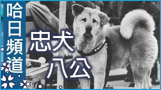 忠犬八公的故事 - 澀谷車站八公銅像的由來