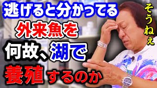 【村田基】逃げ出すと分かってるのに何故、アメキャを湖で養殖するのか【切り抜き】