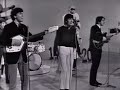 NEW * Look Through Any Window - The Hollies {Stereo} 1965