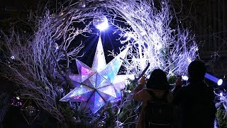 東京で「星に願いを」