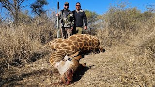 Giraffe Hunt With Blake||Limpopo Province South-Africa