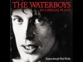 The Whole Of The Moon (In A Special Place) - The Waterboys