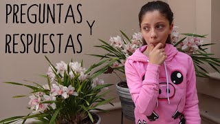 PREGUNTAS Y RESPUESTAS | ♥ Preguntas Petronitas55