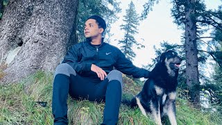 കരടിയുള്ള കാട്ടിൽ താമസിക്കാൻ പേടി ഉണ്ടോ ? |Manali |Forest |Trekking |Allindia |Himachal |Kanyal