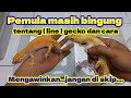 PEMULA MASIH BINGUNG MENGAWINKAN GECKO,DAN BINGUNG MASALAH ( LINE ) PADA LEOPARD GECKO.JANGAN SKIP.