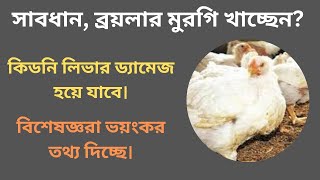 সাবধান, ব্রয়লার মুরগি খাচ্ছেন? জেনে নিন এর মারাত্মক ক্ষতিকর দিক। bangla health tips.