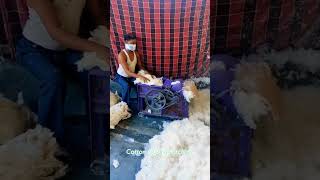 Cotton Opener Machine #shorts  #cotton  #machine #viralvideo