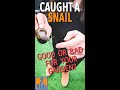 Nature's Play Slimy Snail #Shorts #slugs #snail