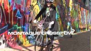 Montague Crosstown Folding Bike