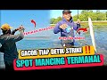 Gacor Strike Tiap Detik ‼️Spot Mancing Termahal Tempat Ikan Babon berkumpul