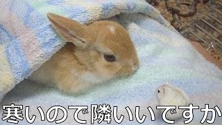 【衝撃】殿堂入りボケてがツッコミどころ満載だったwww84【ツッコミ】