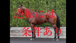 高松宮記念 2022 予想 これがあれば好走あり！！グレナディアガーズ メイケイエール サリオス 浮上するのは！？