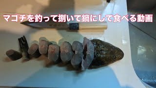 マゴチを釣って捌いて鍋にして食べる動画