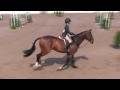 video of granini ridden by matilda von guttenberg from shownet