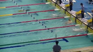 400IM 予選 尾崎　第94回日本選手権水泳競技大会