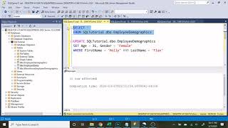 Intermediate SQL Tutorial Updating/Deleting Data