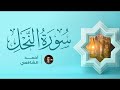 Surah Al Nahl - Ahmed Alshafey | سورة النحل كاملة - القارئ أحمد الشافعي